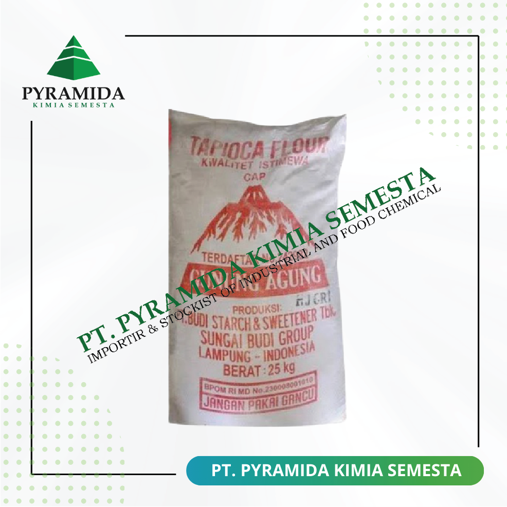 Product - TAPIOKA STARCH - PT. Pyramida Kimia Semesta - PT. Pancasakti Group